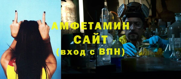 мдпв Ладушкин