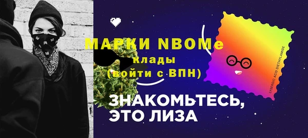 мдпв Ладушкин
