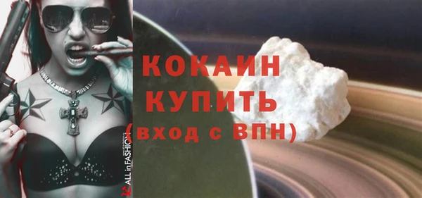 мдпв Ладушкин