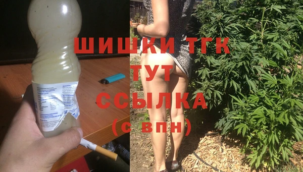 мдпв Ладушкин